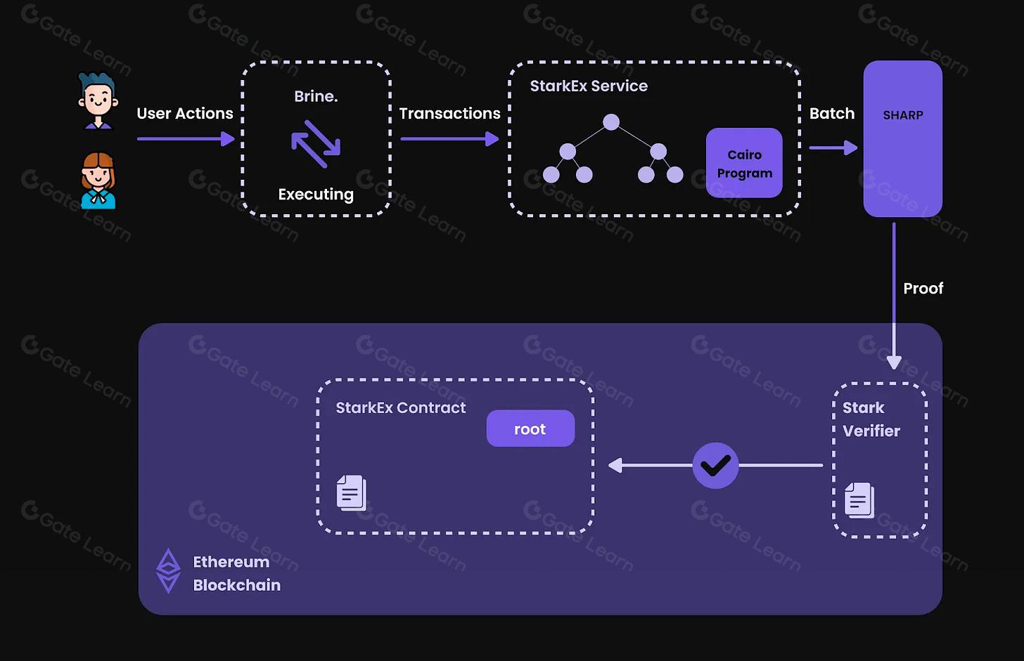 Diagram of modular data availability layers (Celestia, EigenDA, Avail, Near DA, Polygon Miden DA) connecting multiple rollups across different blockchains in 2025