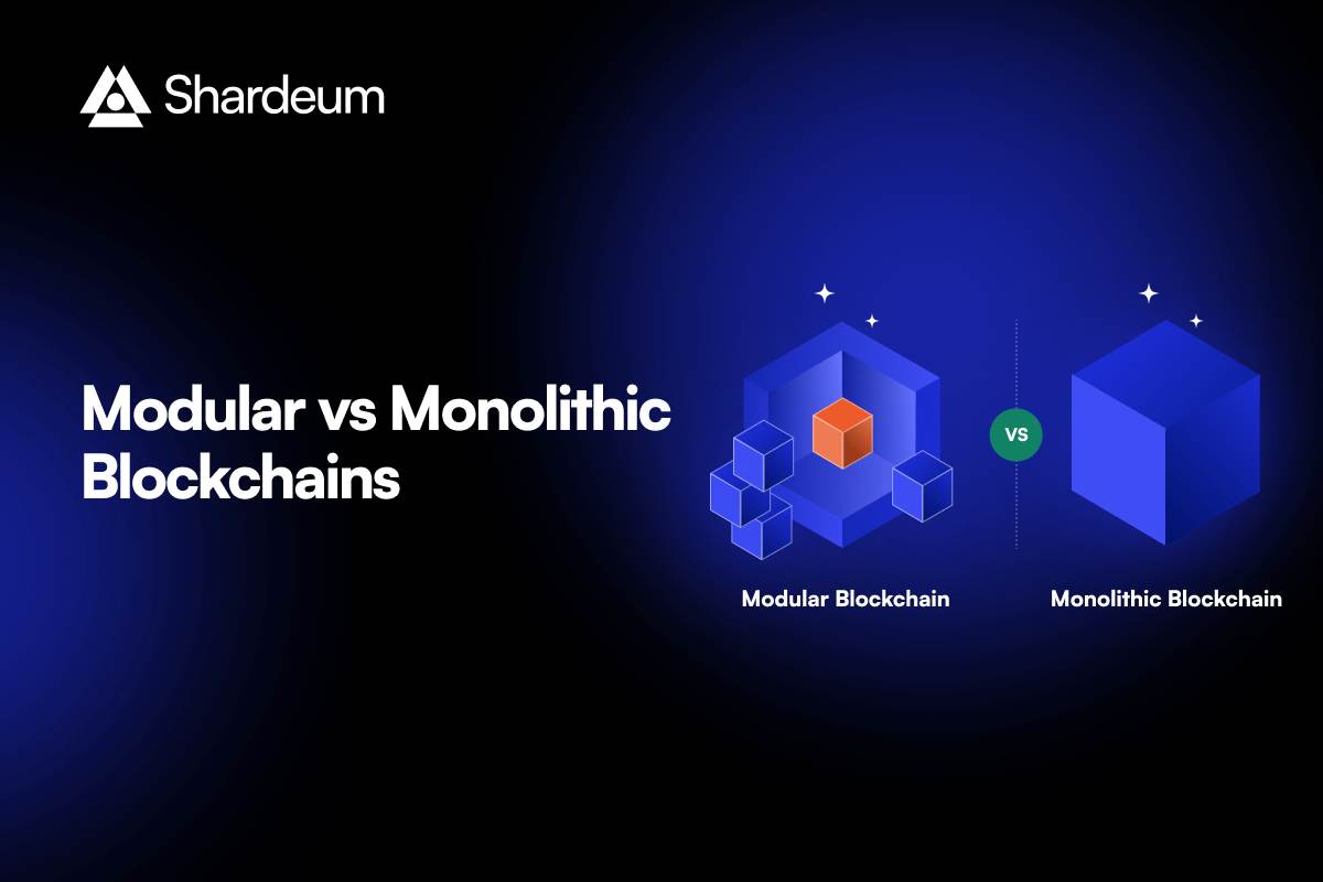 modular blockchain developer flexibility