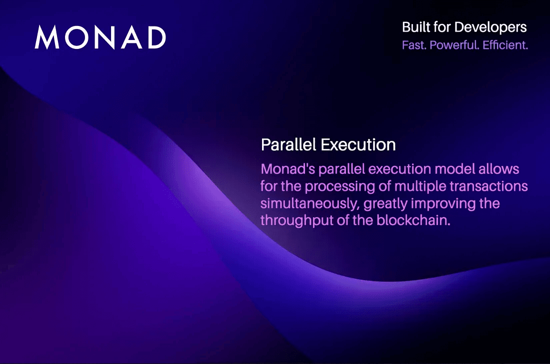 Monad parallel execution process